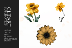 Sunflower Isolated Bloom Clipart Sublimation PNG Product Image 1