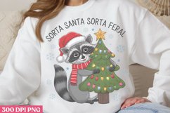 Sorta Santa Sorta Feral PNG, Funny Sarcastic Sublimation Product Image 2