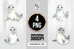 Cute Baby Seal Clipart Sublimation PNG Product Image 1
