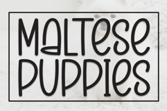 Maltese Puppies Product Image 1