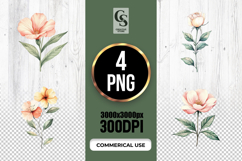 Watercolor Rose Flower Clipart Sublimation PNG Product Image 1