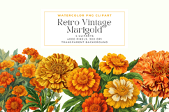 Watercolor Retro Vintage Marigold Cliparts Product Image 1