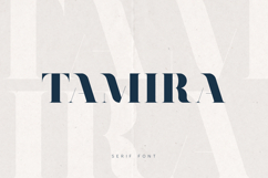 Tamira Modern Serif Elegant High Contrast Display Product Image 1