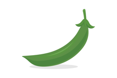 Green Peas and Pea Pods Vector Set Product Image 2