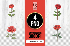 Red Rose Stem Clipart Sublimation PNG Product Image 1