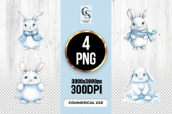 Cute Winter Bunny Clipart Sublimation PNG Product Image 1