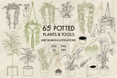 Potted Plants Line Art Collection Svg Png Eps Product Image 1