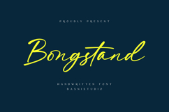 Bongstand Elegant Handwritten Font Product Image 1