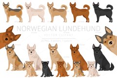 Norwegian Lundehund clipart Product Image 1