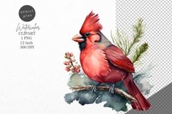 Christmas clipart, Cardinal clipart, Winter clipart Product Image 1