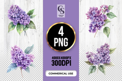 Lilac Flower Clipart Sublimation PNG Product Image 1