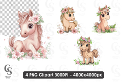 Cute Baby Horse Clipart PNG Product Image 1