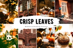 10 Crisp Leaves Mobile Lightroom Presets Product Image 1