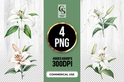 White Lily Flower Clipart Sublimation PNG Product Image 1