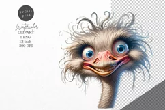 Ostrich clipart, Bird clipart, Funny clipart Product Image 1
