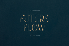 Future Flow Line Edition Elegant Inline Serif Font Product Image 1