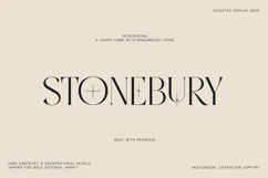 Stonebury Sculpted Display Serif Font Product Image 1