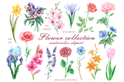 Blooming flowers watercolor clipart. Wildflowers Product Image 2