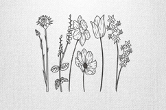 Wildflower Line Art Embroidery Design File Product Image 1