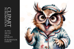 Grumpy owl watercolor clipart sublimation Product Image 1