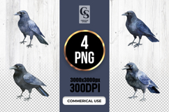 Black Crow Bird Illustration Clipart Sublimation PNG Product Image 1