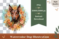 Watercolor Pinscher Dog Illustration, Dog Sublimation PNG Product Image 1