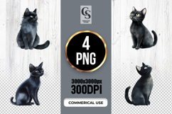 Black Cat Illustration Clipart Sublimation PNG Product Image 1