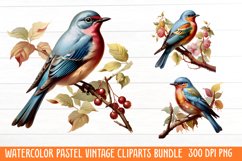 Watercolor Pastel Vintage Clipart Product Image 1