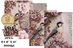 Shabby Chic, Papers, Junk Journal Product Image 1