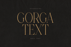 Gorga Luxury Serif Font Product Image 1