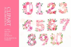 Floral numbers clipart sublimation Product Image 1