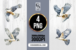 Flying Peregrine Falcon Bird Clipart Sublimation PNG Product Image 1
