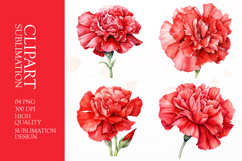 Watercolor red flower clipart sublimation png Product Image 1