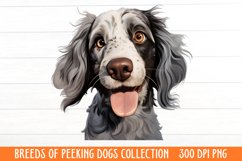 Breeds Of Peeking Dogs Collection Product Image 1