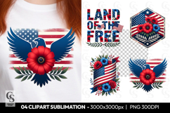 Patriotic Eagle Clipart PNG Product Image 1
