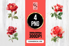 Watercolor Red Rose Flower Clipart Sublimation PNG Product Image 1