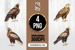 Bald Eagle Clipart PNG Watercolor Product Image 1