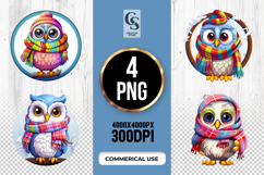 Winter Owl with Scarf Clipart Sublimation PNG Product Image 1