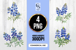 Watercolor Bluebonnet Wildflower Clipart Sublimation PNG Product Image 1