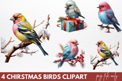 Chirstmas Birds Clipart PNG Product Image 1