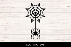 Hanging Spider On Spider Web SVG Product Image 1