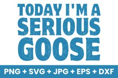 Today I&#039;m A Serious Goose Funny Humor SVG Product Image 1