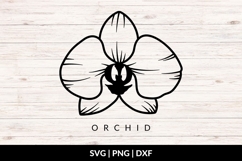Orchid Blossom SVG Product Image 1