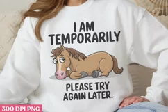 I Am Temporarily PNG, Funny Sarcastic Sublimation Product Image 2