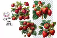 Strawberry, Strawberries, Ephemera, PNG, Clipart Product Image 1