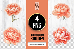 Coral Peony Flower Watercolor Clipart Sublimation PNG Product Image 1