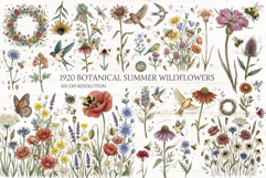 1920 Botanical Summer Wildflowers Clipart Product Image 1