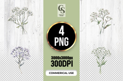 Watercolor Baby’s Breath Flowers Clipart Sublimation PNG Product Image 1