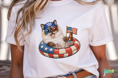Patriotic Cat Collection PNG Product Image 5