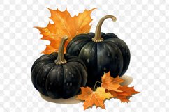Black Pumpkins Sublimation Clipart Product Image 3